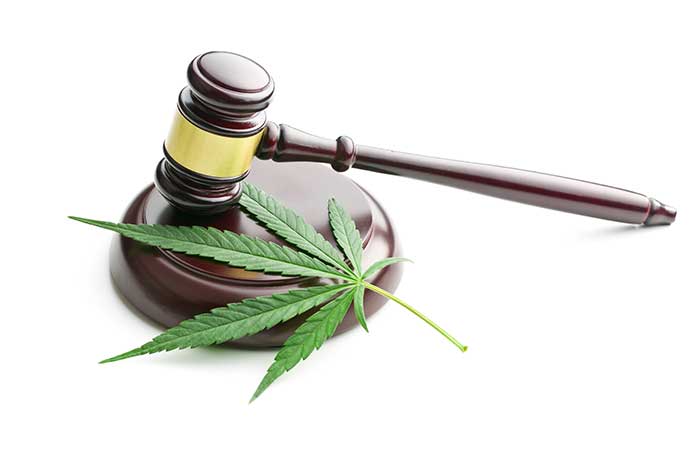 Drug Offense Defense Representation Drug Offense Defense Representation